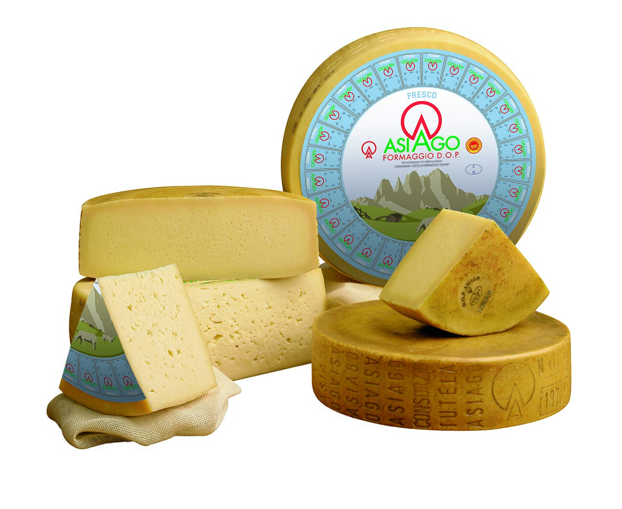 Wheels and wedges of Asiago DOP cheese