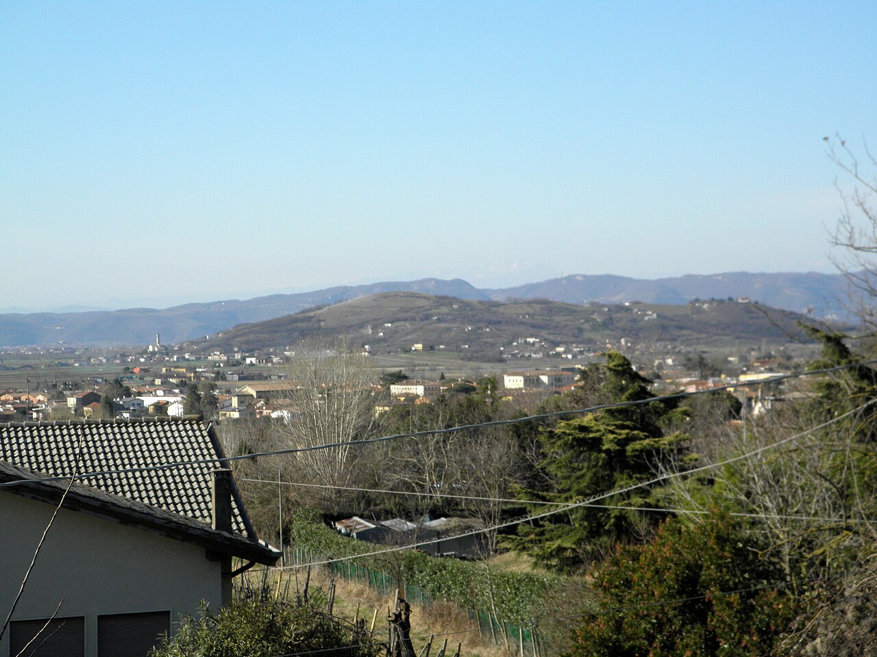 Vineyards and hills of the Colli Berici